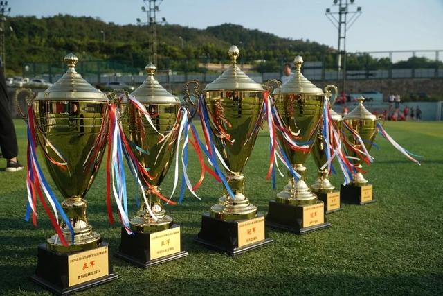 范迪克：每天我都会在家做例行恢复 即使是午夜